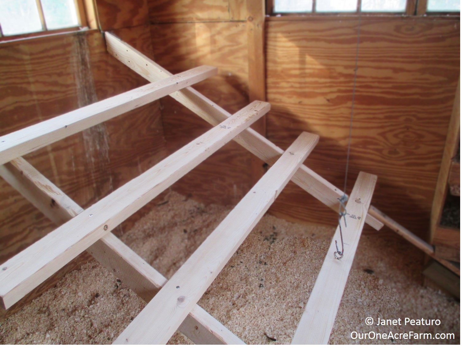 Roost ladder with poop collection tray below http://www ...