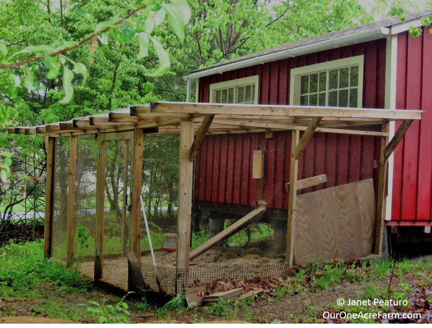 This run in the rear of our coop, is totally enclosed and virtually ...