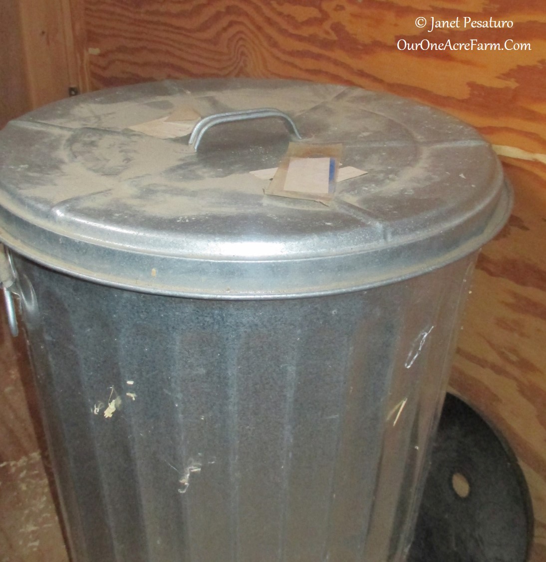 Keep feed in covered metal barrels to keep out mice and rats.