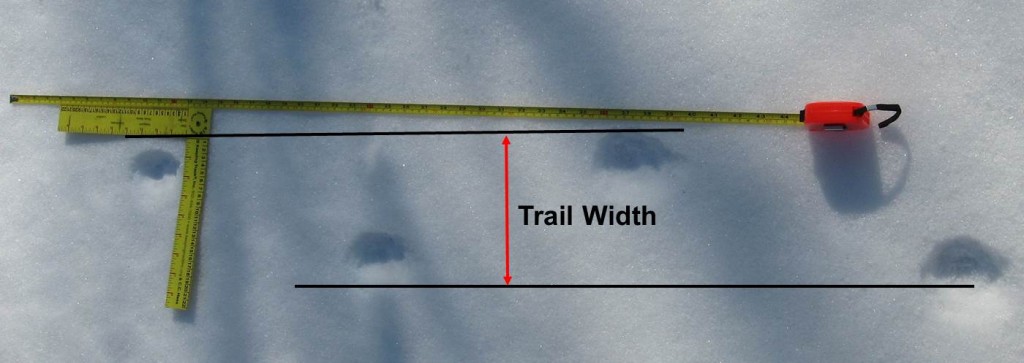 how to measure straddle when tracking bobcats