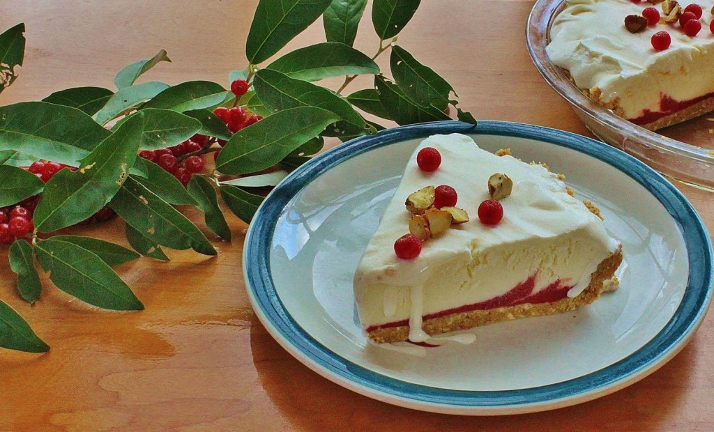 slice of autumnberry ice cream pie with hazelnuts