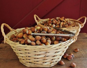 Two baskets of hazelnuts