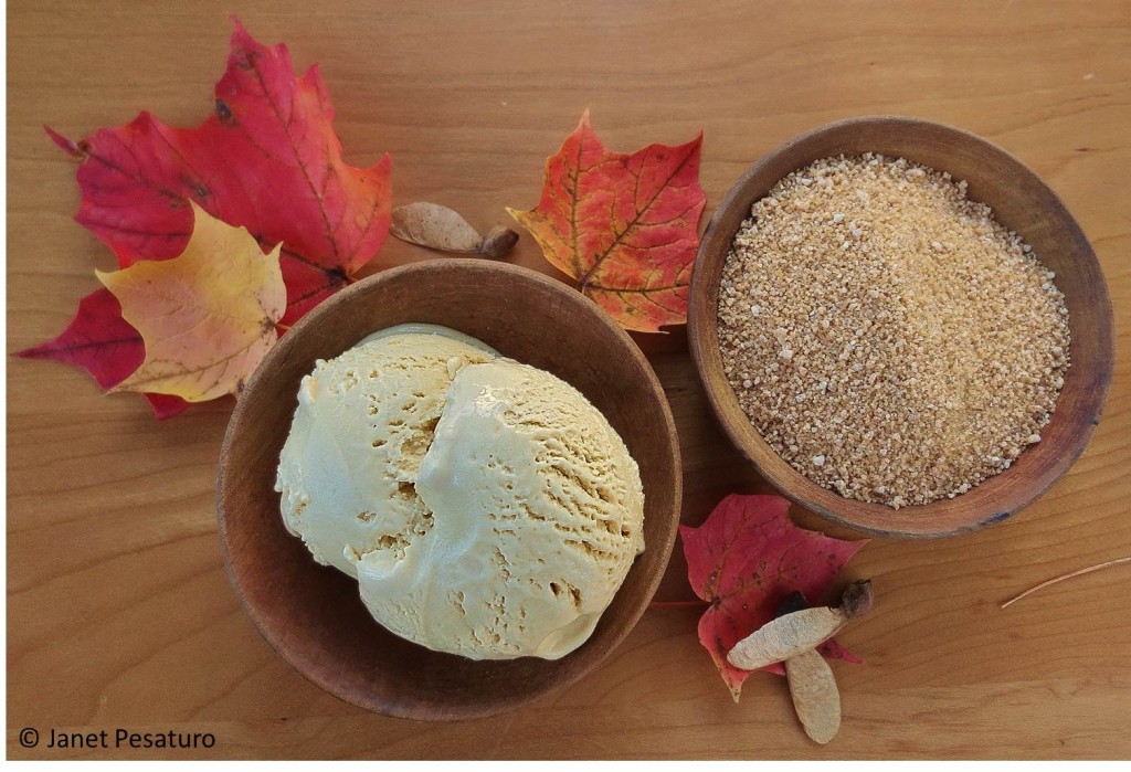 A bowl of maple ice cream and a bowl of maple sugar