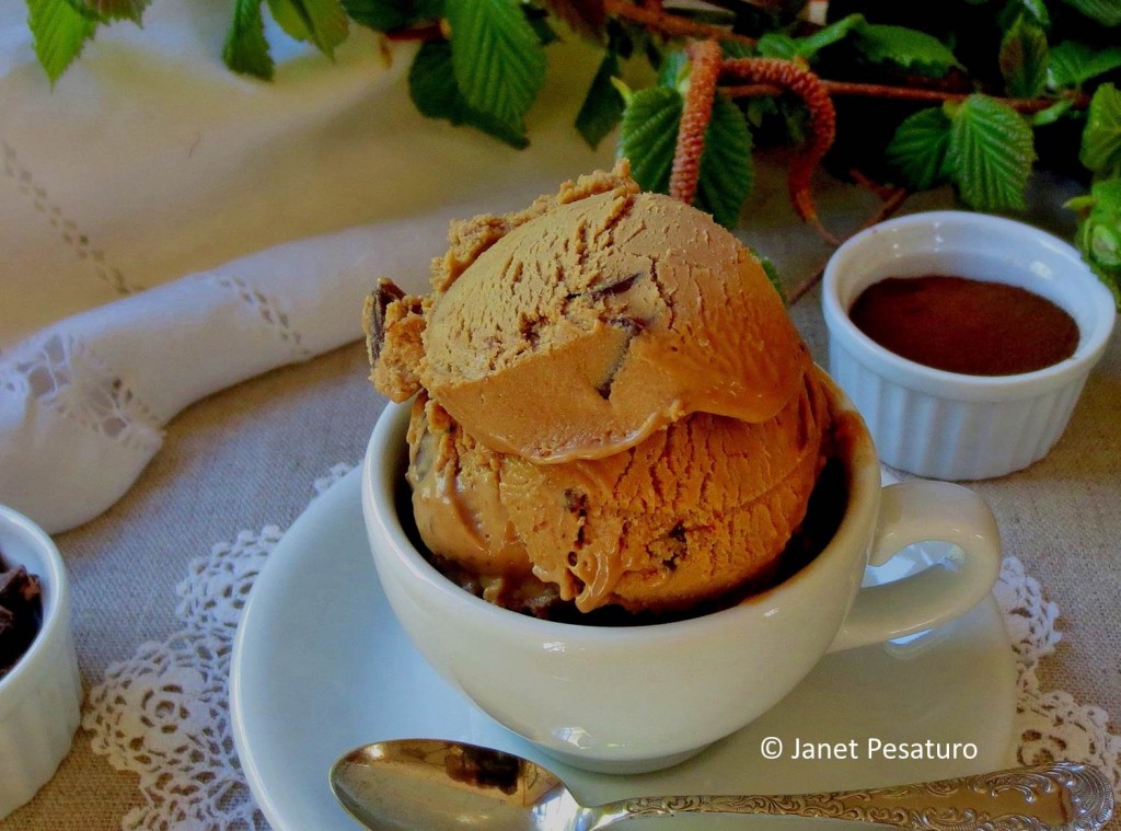 Mocha hazelnut butter ice cream with dark chocolate chips