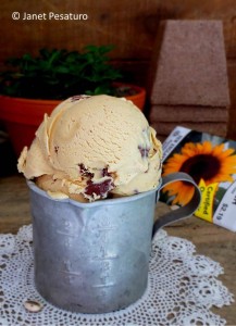Sunflower seed butter ice cream with milk chocolate chips