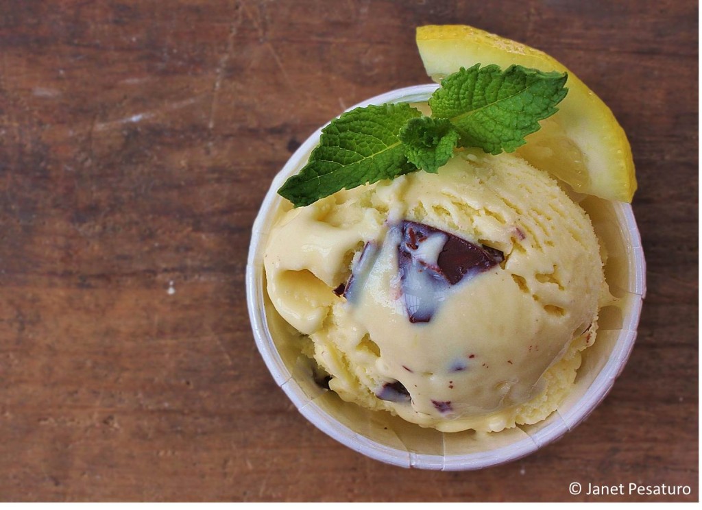 Lemon mint frozen yogurt with chocolate chips