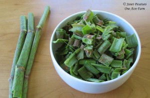 Chopped young, tender stalks of Japanese knotweed.