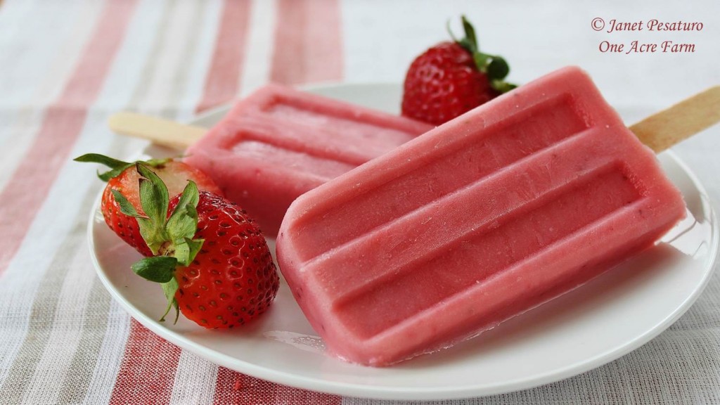 Strawberry knotweed yogurt popsicles