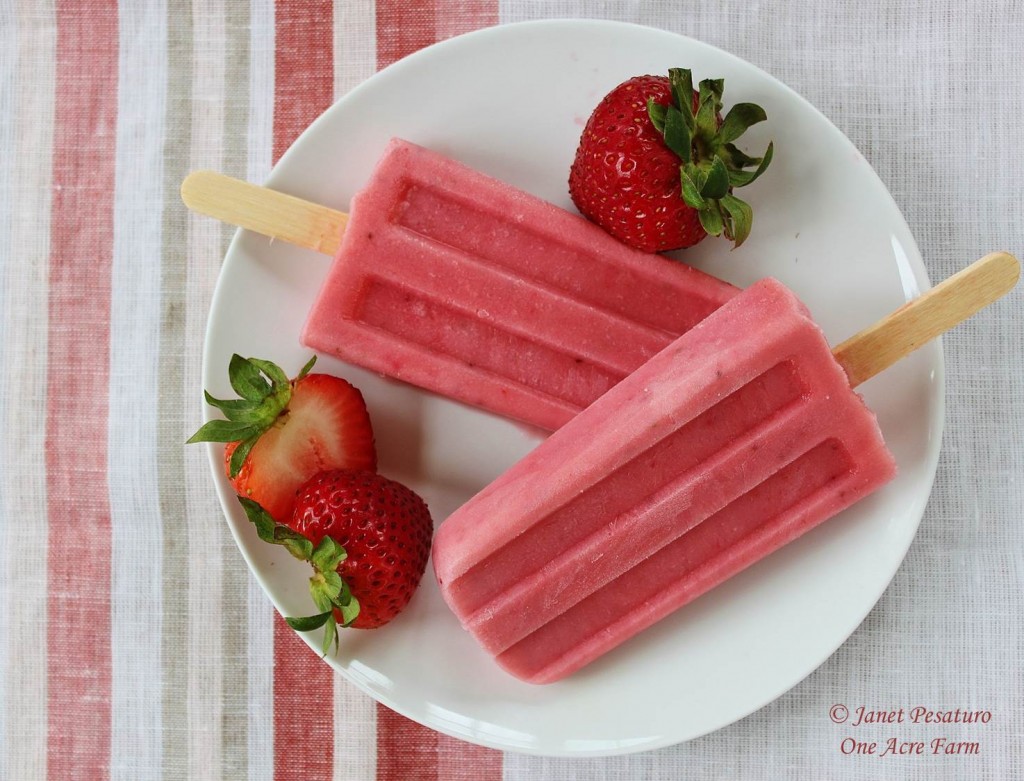 Strawberry fleeceflower yogurt pops. Fleeceflower is another name for Japanese knotweed.