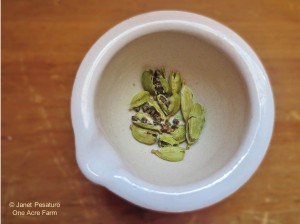 Chai Spice Vanilla Bean Ice Cream. Photo shows lightly crushed, green cardamom pods.