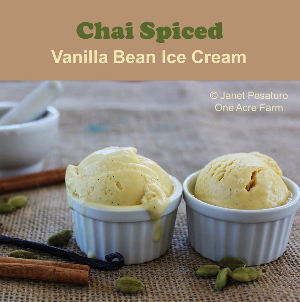 Chai Spice Vanilla Bean Ice Cream - Rich, creamy, delicious!