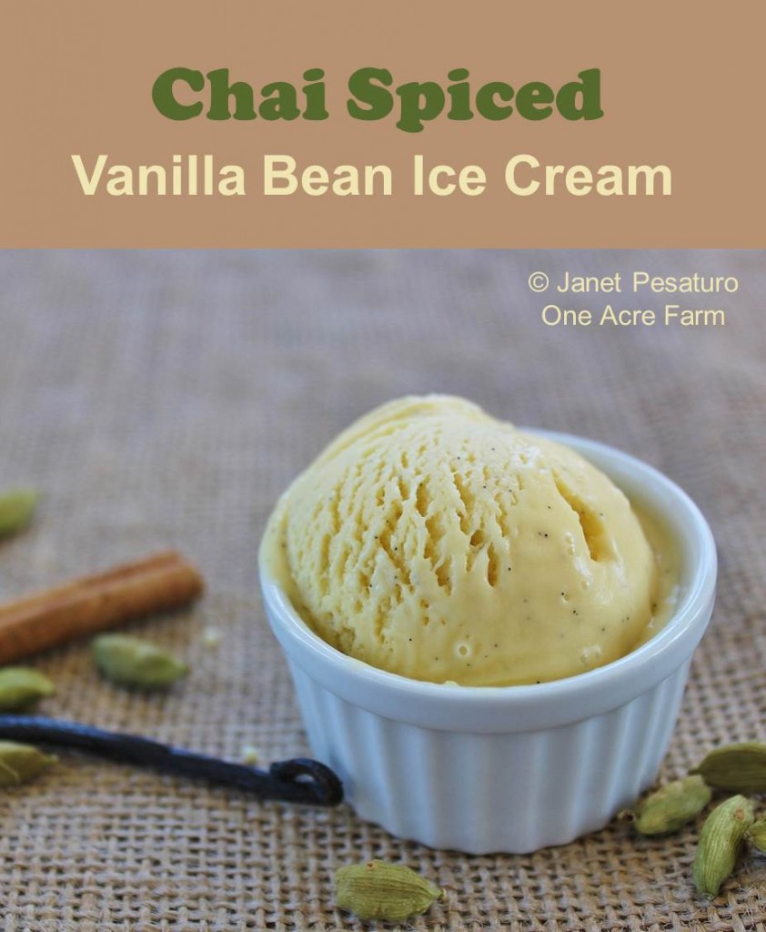 Chai Spiced Vanilla Bean Ice Cream. Lusciously rich, creamy, and delicious! 