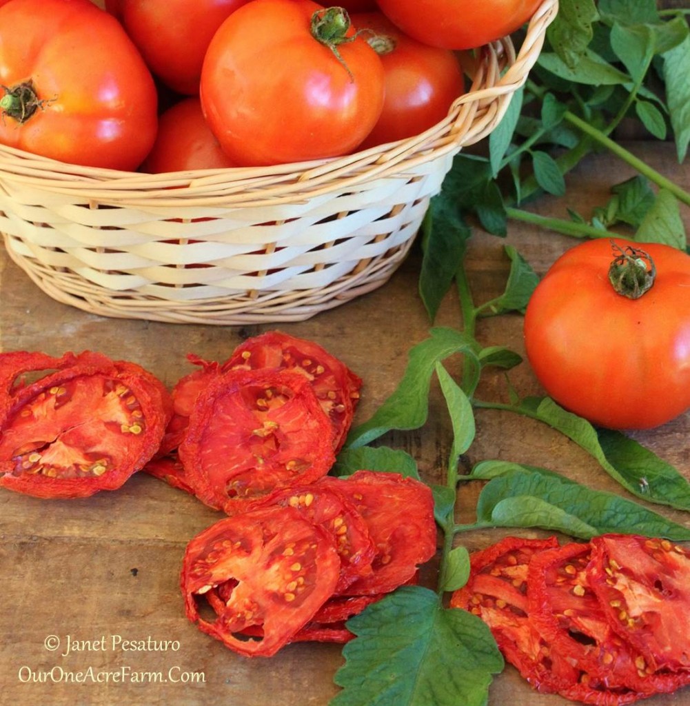 6 Tips for Drying Tomatoes 