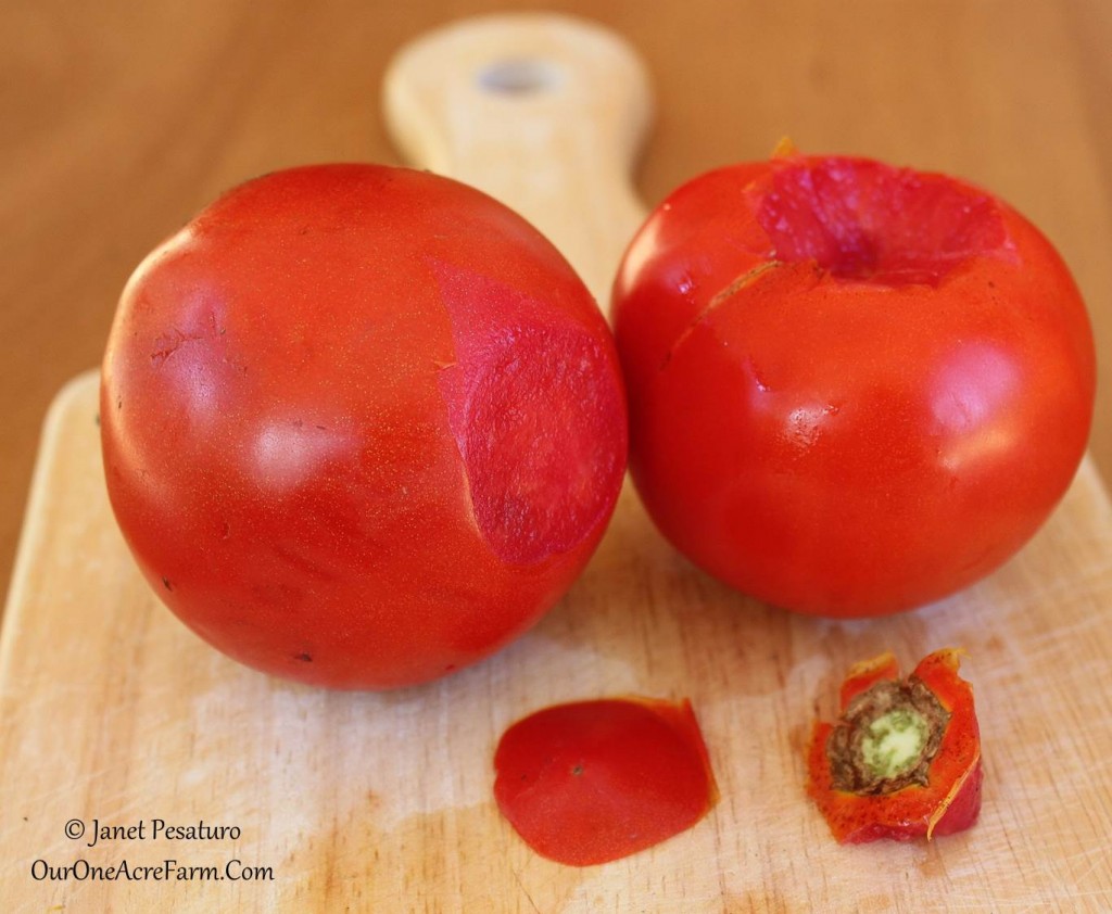 6 tips for drying tomatoes 