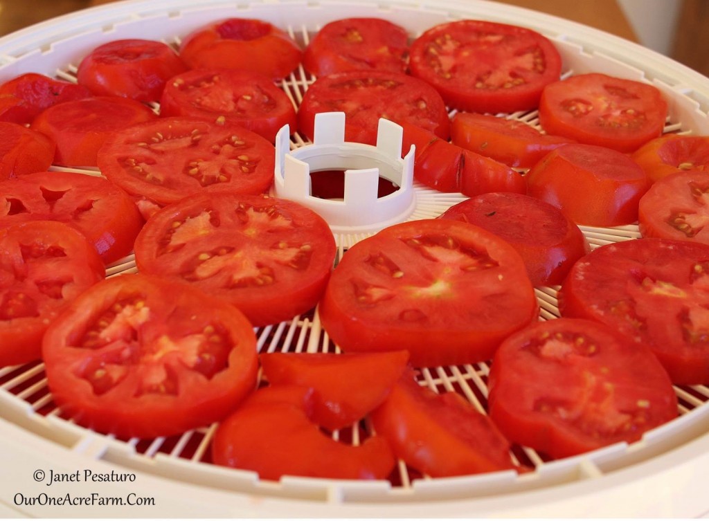 6 tips for drying tomatoes