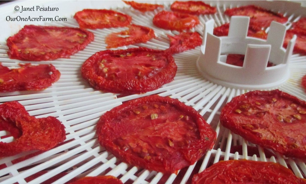 6 tips for drying tomatoes