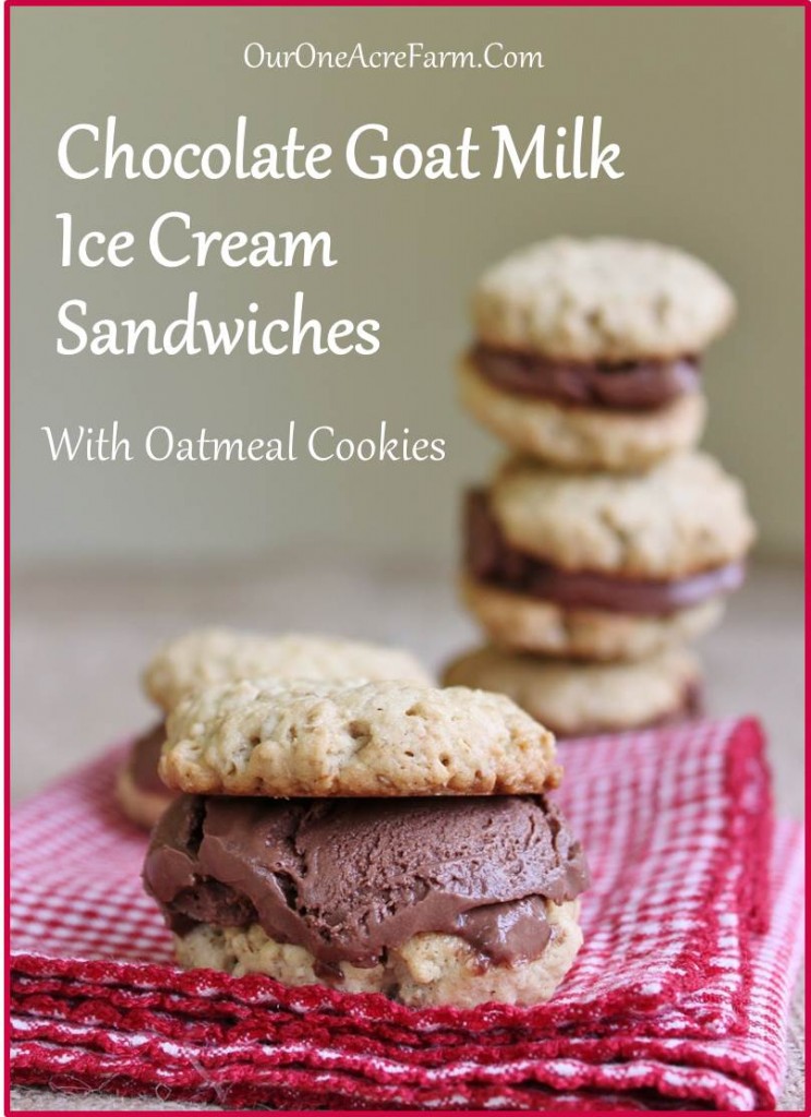 Chocolate Goat Milk Ice Cream Sandwiches