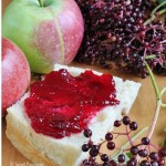 Seedless elderberry apple jam