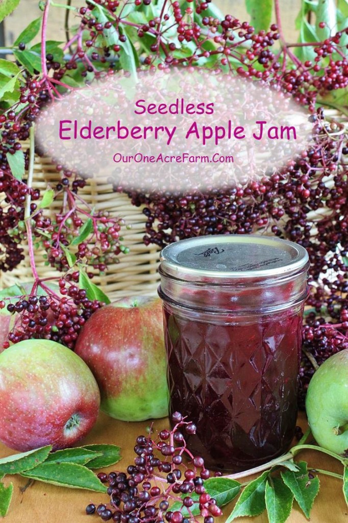 Seedless Elderberry Apple Jam