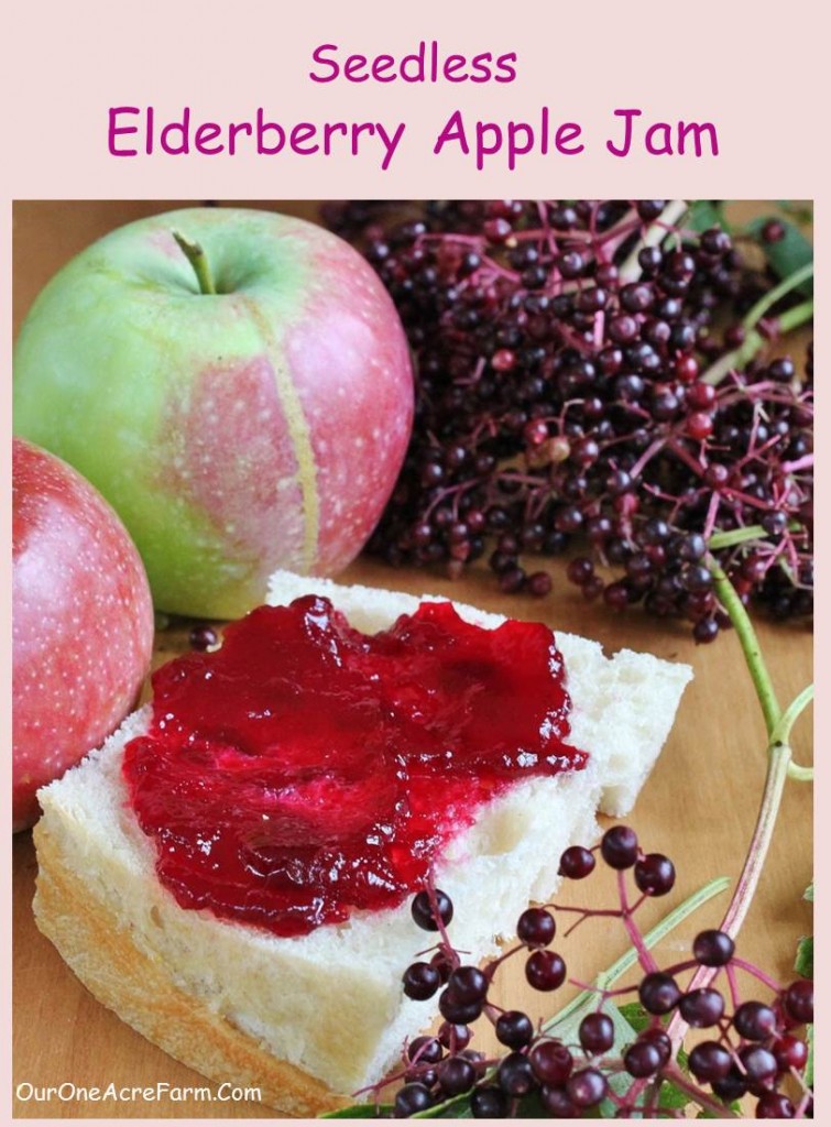 Seedless Elderberry Apple Jam