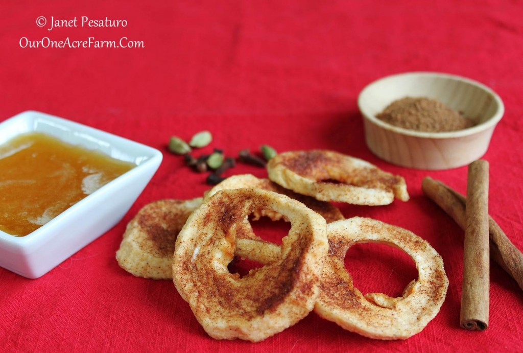 Honey Spiced Dried Apple Rings
