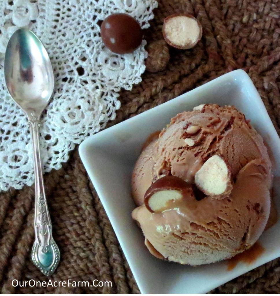 Malted Chocolate Ice Cream - This is so easy, and it's one of the most delicious things on the planet!