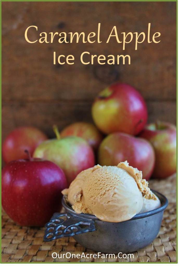 Caramel Apple Ice Cream