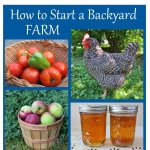 How to Start a Backyard Farm