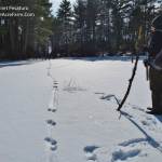 Wildlife Tracking Walk