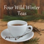 Wild winter teas