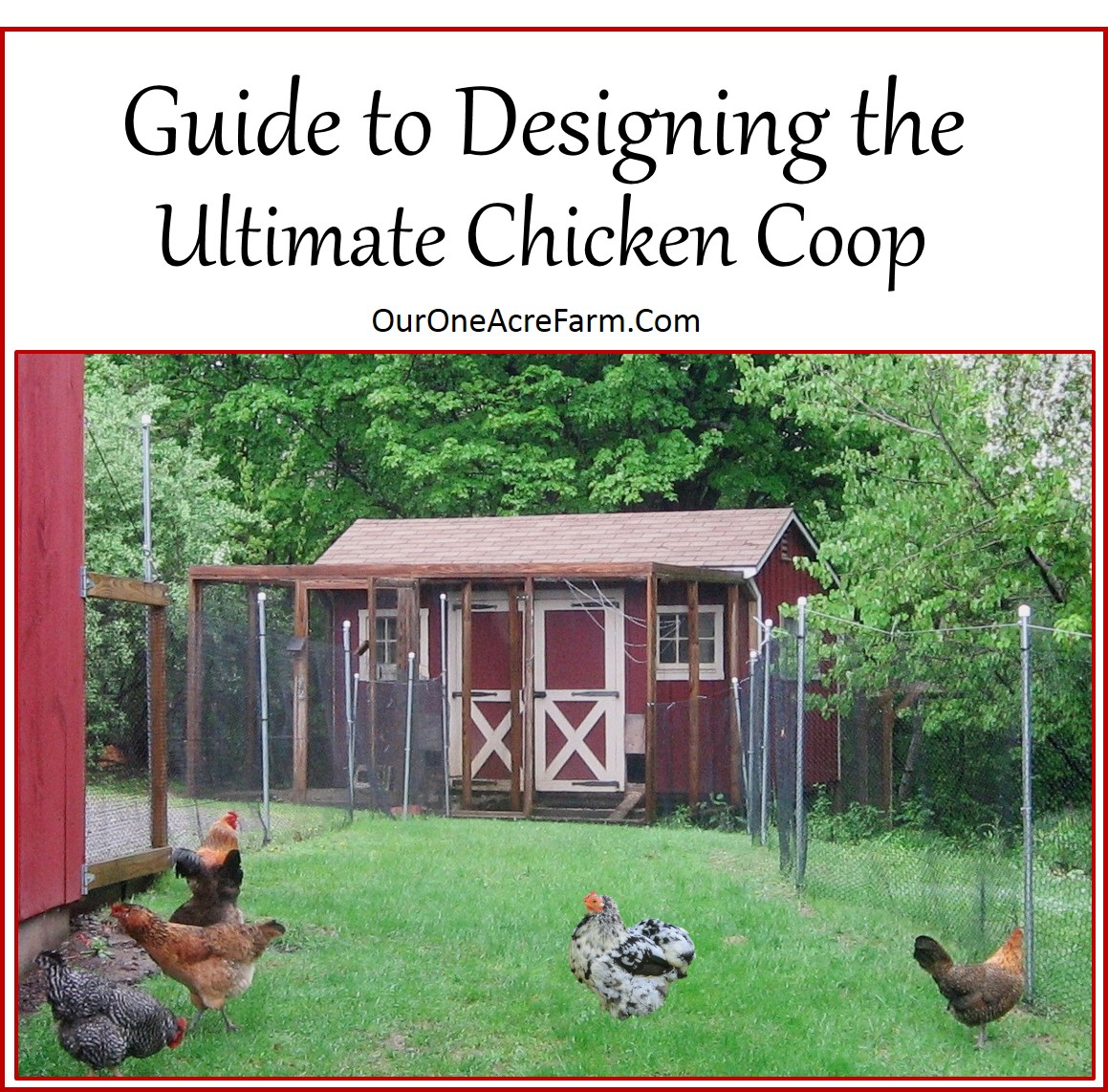 Designing the perfect chicken coop 2