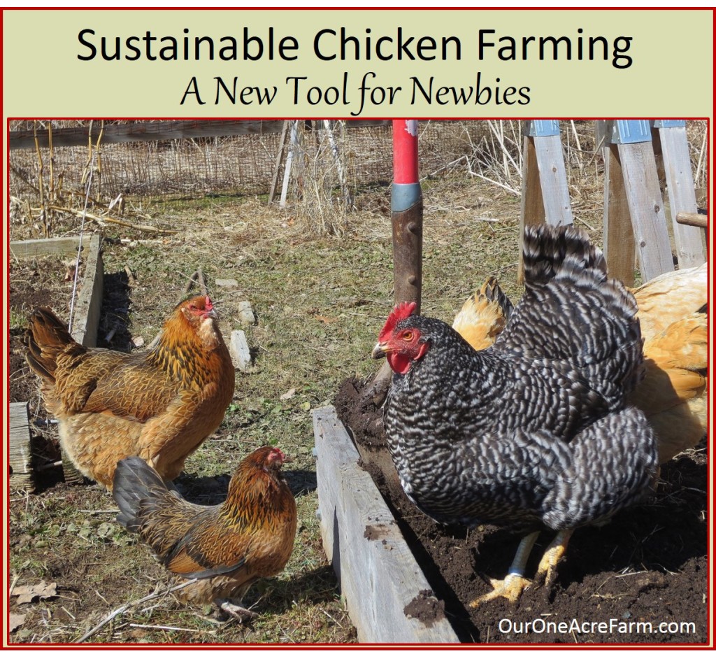 Sustainable chicken farming