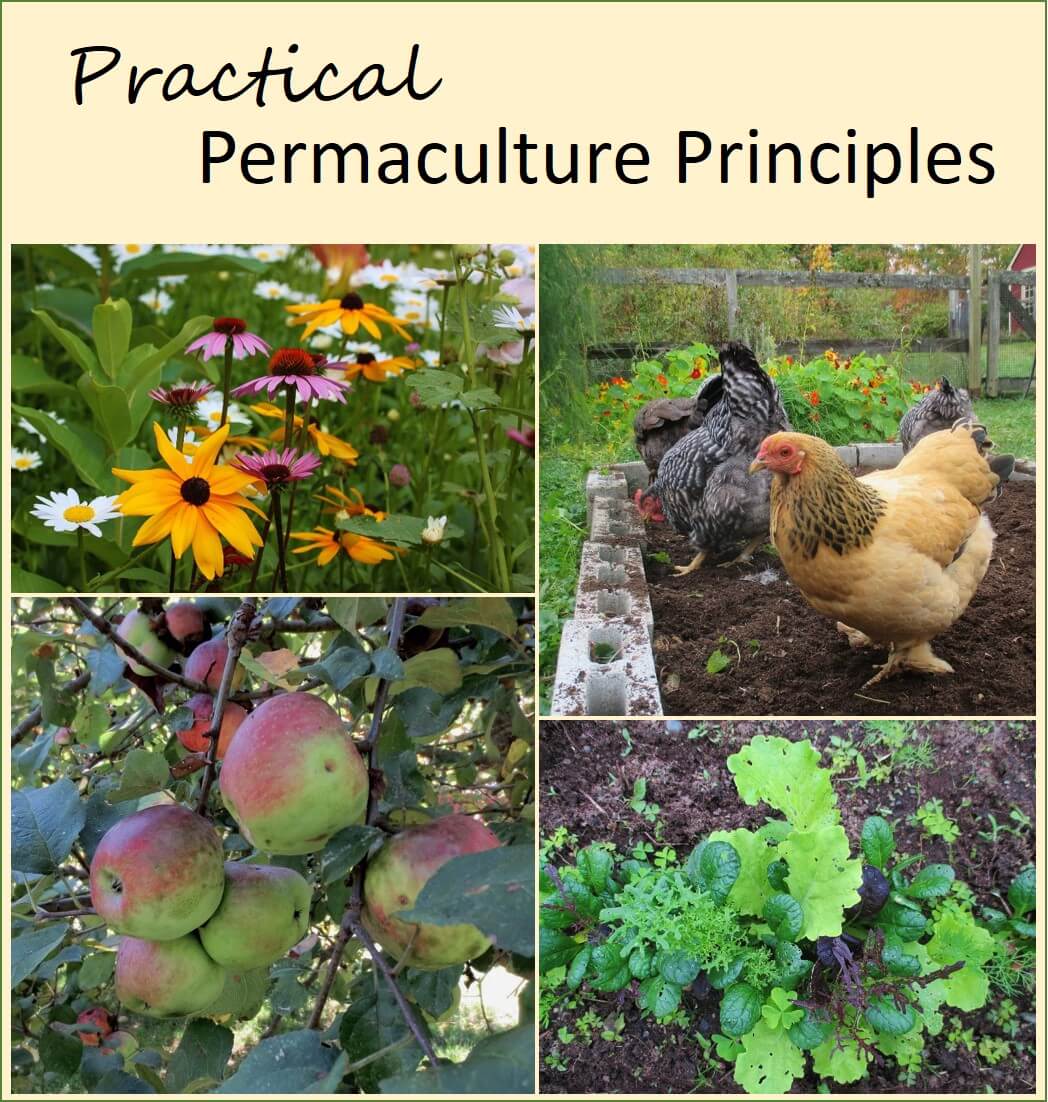 Permaculture Principles For Practical Gardeners And Farmers