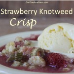 Strawberry Knotweed Crisp