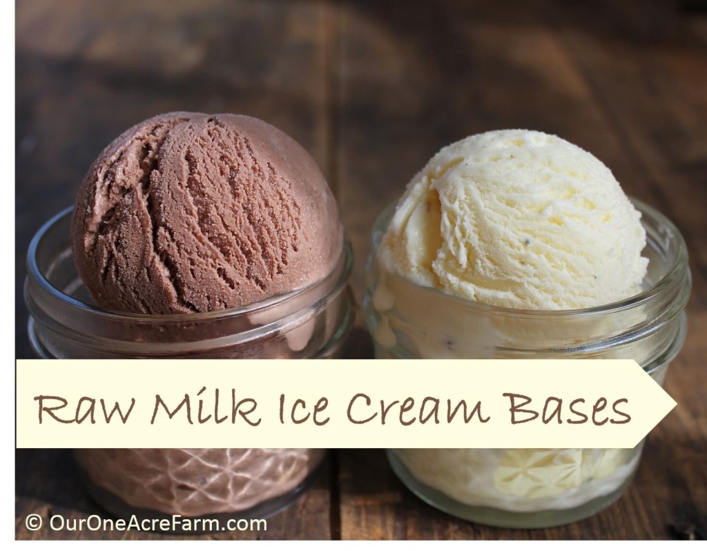 Homemade Raw Milk Ice Cream Bases