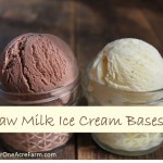 Quick, easy, and exceptionally creamy recipes for vanilla and chocolate homemade raw milk ice cream bases. Giving recipes for both vanilla and chocolate makes it possible for you to adapt them to many, many different flavors. Customize them with your own delicious add-ins, if you like!