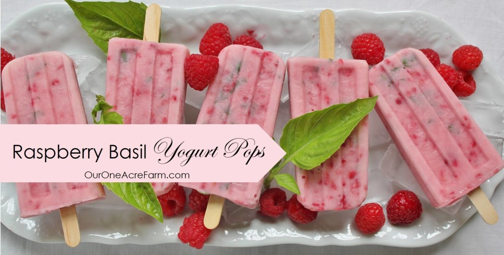 Easy, 4-ingredient Raspberry Basil Yogurt Pops are perfect for a hot summer day, when both the berries and basil are in season. Not too sweet, not too tart. The anise like flavor of the basil compliments the raspberries beautifully, and the green flecks are so pretty in the pink pops.