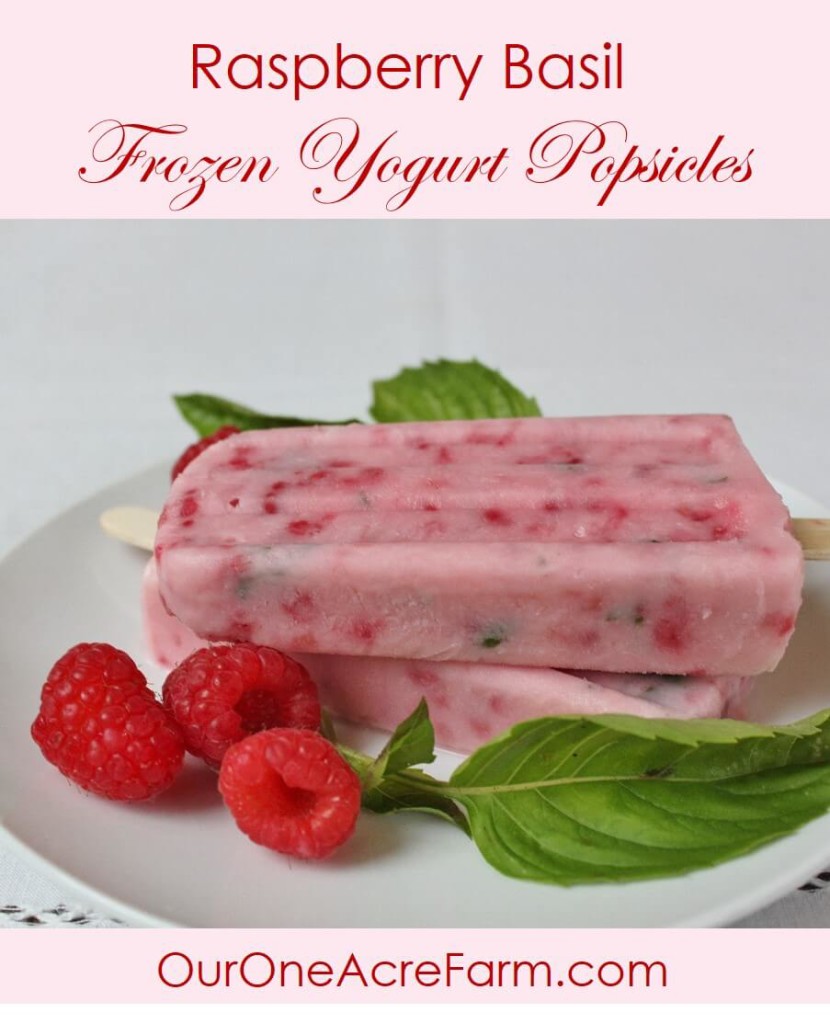 Easy, 4-ingredient Raspberry Basil Yogurt Pops are perfect for a hot summer day, when both the berries and basil are in season. Not too sweet, not too tart. The anise like flavor of the basil compliments the raspberries beautifully, and the green flecks are so pretty in the pink pops.